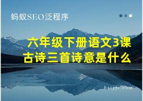 六年级下册语文3课古诗三首诗意是什么