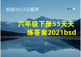 六年级下册53天天练答案2021bsd