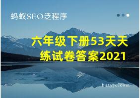 六年级下册53天天练试卷答案2021