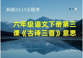 六年级语文下册第三课《古诗三首》意思