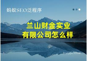 兰山财金实业有限公司怎么样