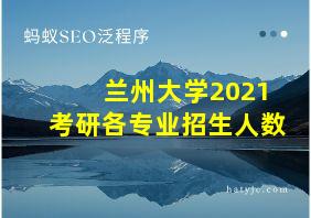 兰州大学2021考研各专业招生人数