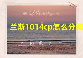 兰斯1014cp怎么分配