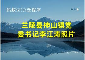 兰陵县神山镇党委书记李江涛照片