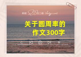 关于圆周率的作文300字