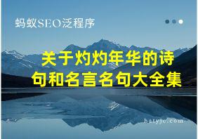 关于灼灼年华的诗句和名言名句大全集