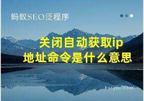 关闭自动获取ip地址命令是什么意思