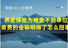 养老保险为啥查不到单位缴费的金额明细了怎么回事