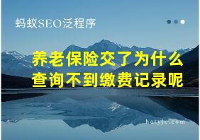 养老保险交了为什么查询不到缴费记录呢