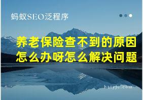 养老保险查不到的原因怎么办呀怎么解决问题