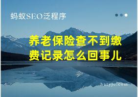 养老保险查不到缴费记录怎么回事儿