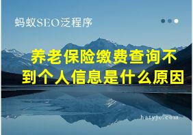 养老保险缴费查询不到个人信息是什么原因