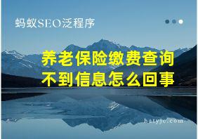 养老保险缴费查询不到信息怎么回事