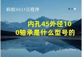 内孔45外径100轴承是什么型号的