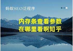 内存条查看参数在哪里看啊知乎