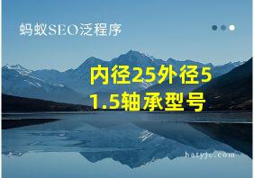 内径25外径51.5轴承型号