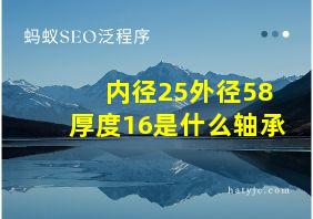 内径25外径58厚度16是什么轴承