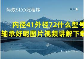 内径41外径72什么型号轴承好呢图片视频讲解下载