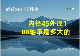 内径45外径100轴承是多大的