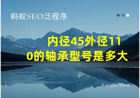 内径45外径110的轴承型号是多大