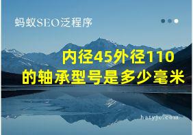 内径45外径110的轴承型号是多少毫米