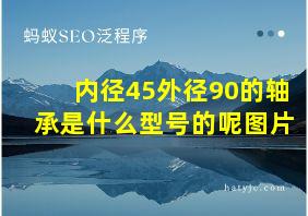 内径45外径90的轴承是什么型号的呢图片