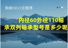 内径60外径110轴承双列轴承型号是多少呢