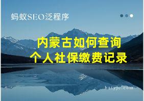 内蒙古如何查询个人社保缴费记录