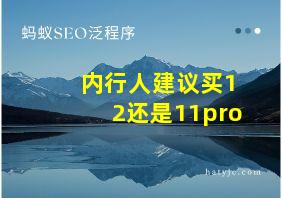 内行人建议买12还是11pro