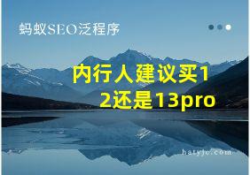 内行人建议买12还是13pro