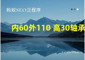 内60外110 高30轴承