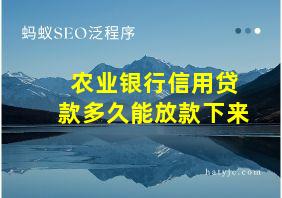 农业银行信用贷款多久能放款下来