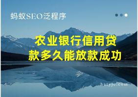 农业银行信用贷款多久能放款成功