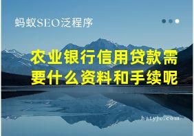 农业银行信用贷款需要什么资料和手续呢