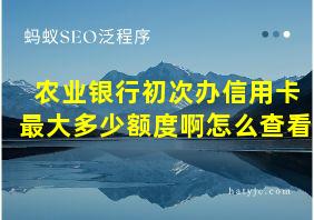 农业银行初次办信用卡最大多少额度啊怎么查看