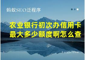 农业银行初次办信用卡最大多少额度啊怎么查