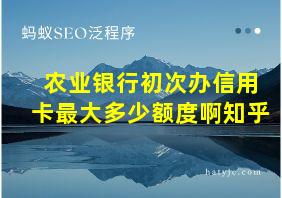 农业银行初次办信用卡最大多少额度啊知乎