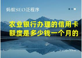 农业银行办理的信用卡额度是多少钱一个月的