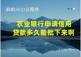 农业银行申请信用贷款多久能批下来啊