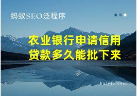 农业银行申请信用贷款多久能批下来