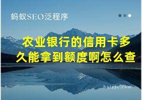 农业银行的信用卡多久能拿到额度啊怎么查