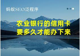 农业银行的信用卡要多久才能办下来