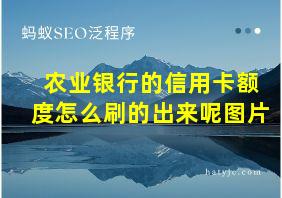 农业银行的信用卡额度怎么刷的出来呢图片