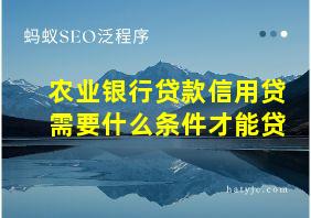 农业银行贷款信用贷需要什么条件才能贷