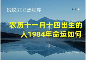 农历十一月十四出生的人1984年命运如何