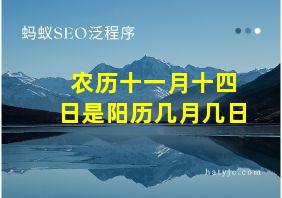 农历十一月十四日是阳历几月几日