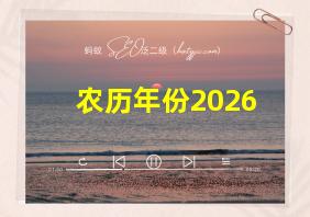 农历年份2026