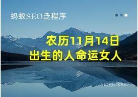 农历11月14日出生的人命运女人