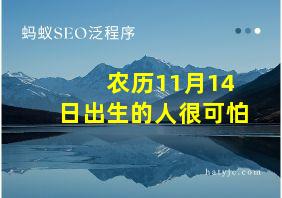 农历11月14日出生的人很可怕