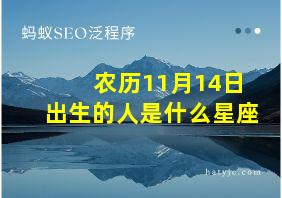 农历11月14日出生的人是什么星座